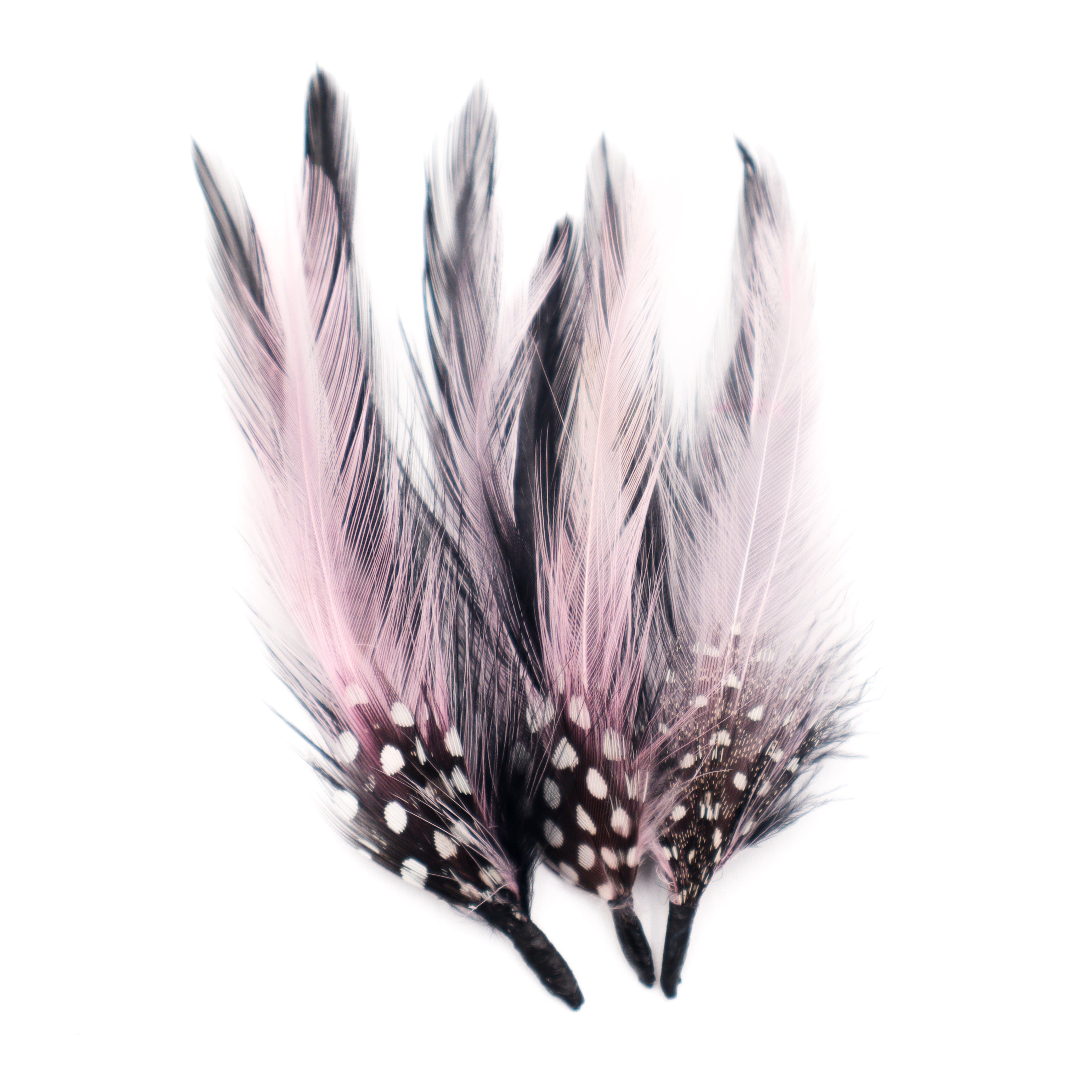 3 Pack Pheasant Feathers for Hats - Pink